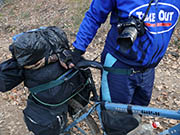 Гужевая упряжка Ромы