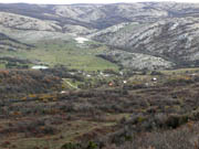Село Пчелиное